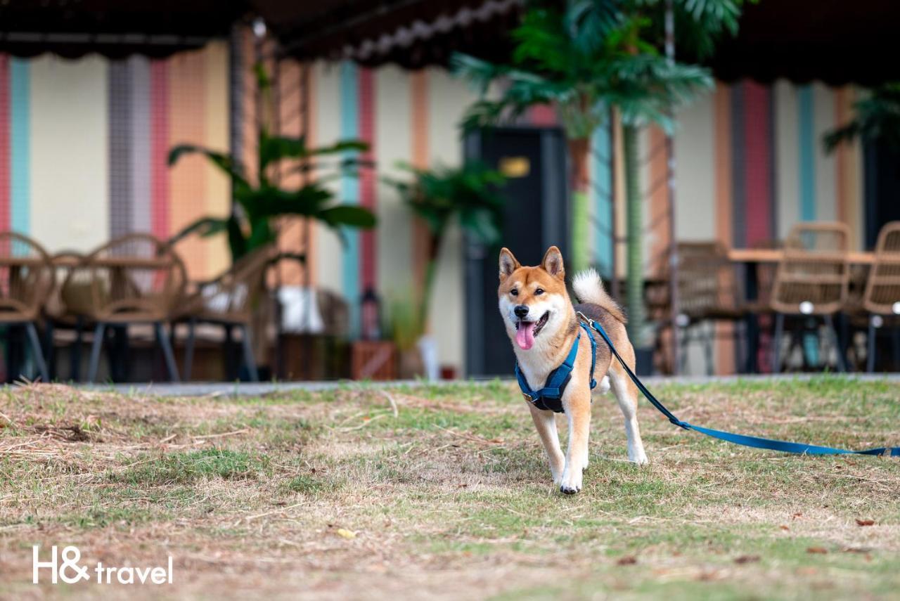 Taitung Rainbow Pet Friendly Maison Resort Екстер'єр фото