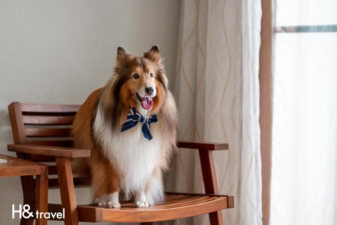 Taitung Rainbow Pet Friendly Maison Resort Екстер'єр фото