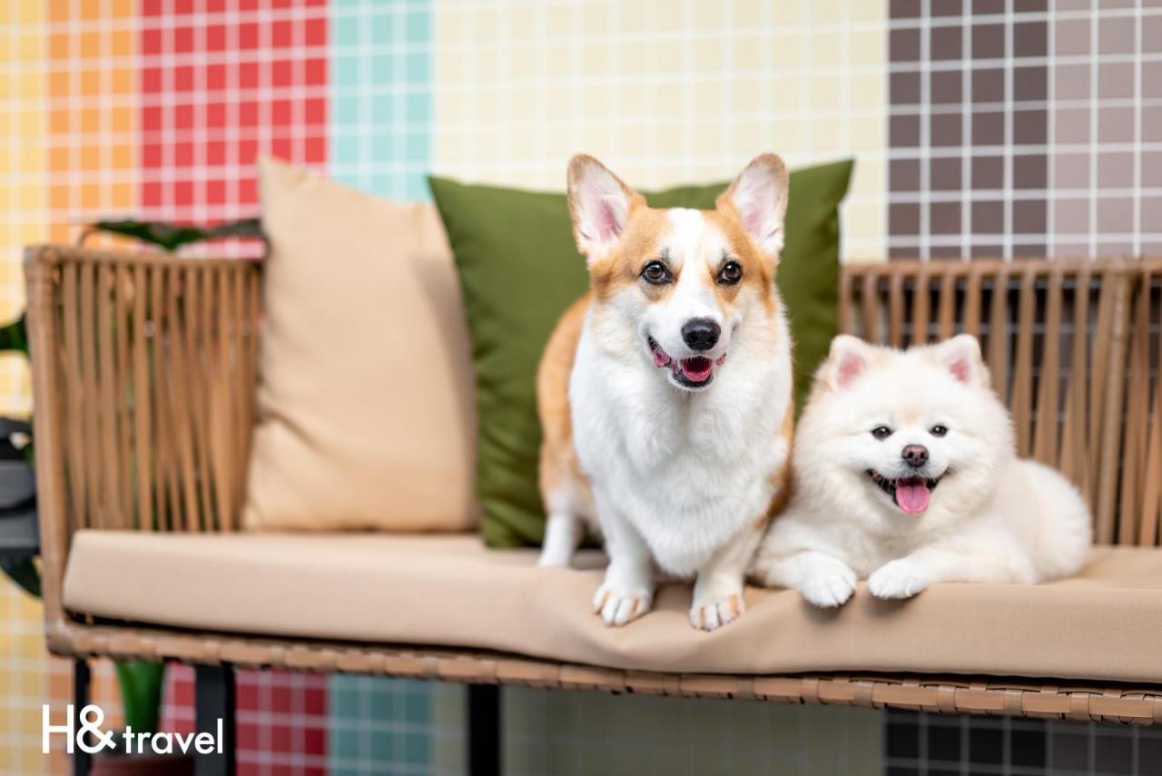 Taitung Rainbow Pet Friendly Maison Resort Екстер'єр фото