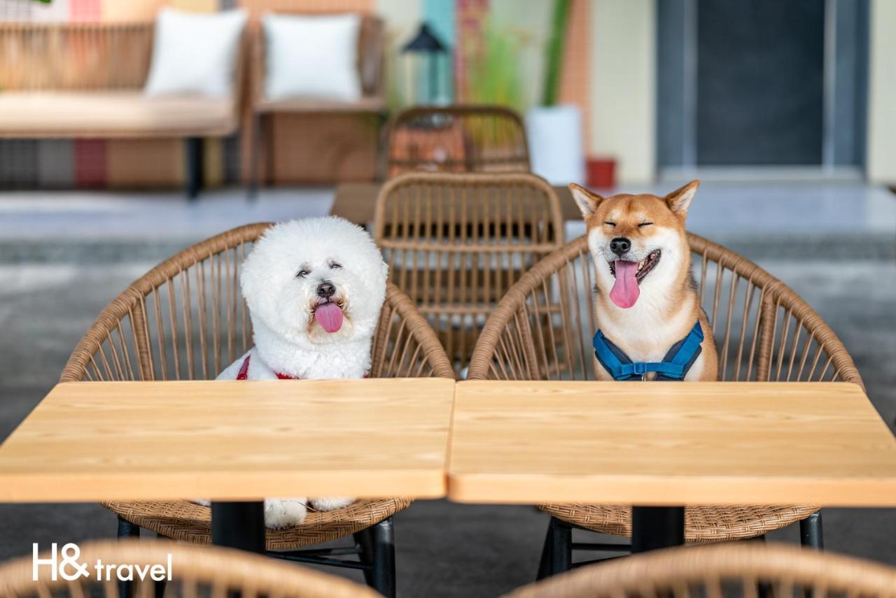 Taitung Rainbow Pet Friendly Maison Resort Екстер'єр фото