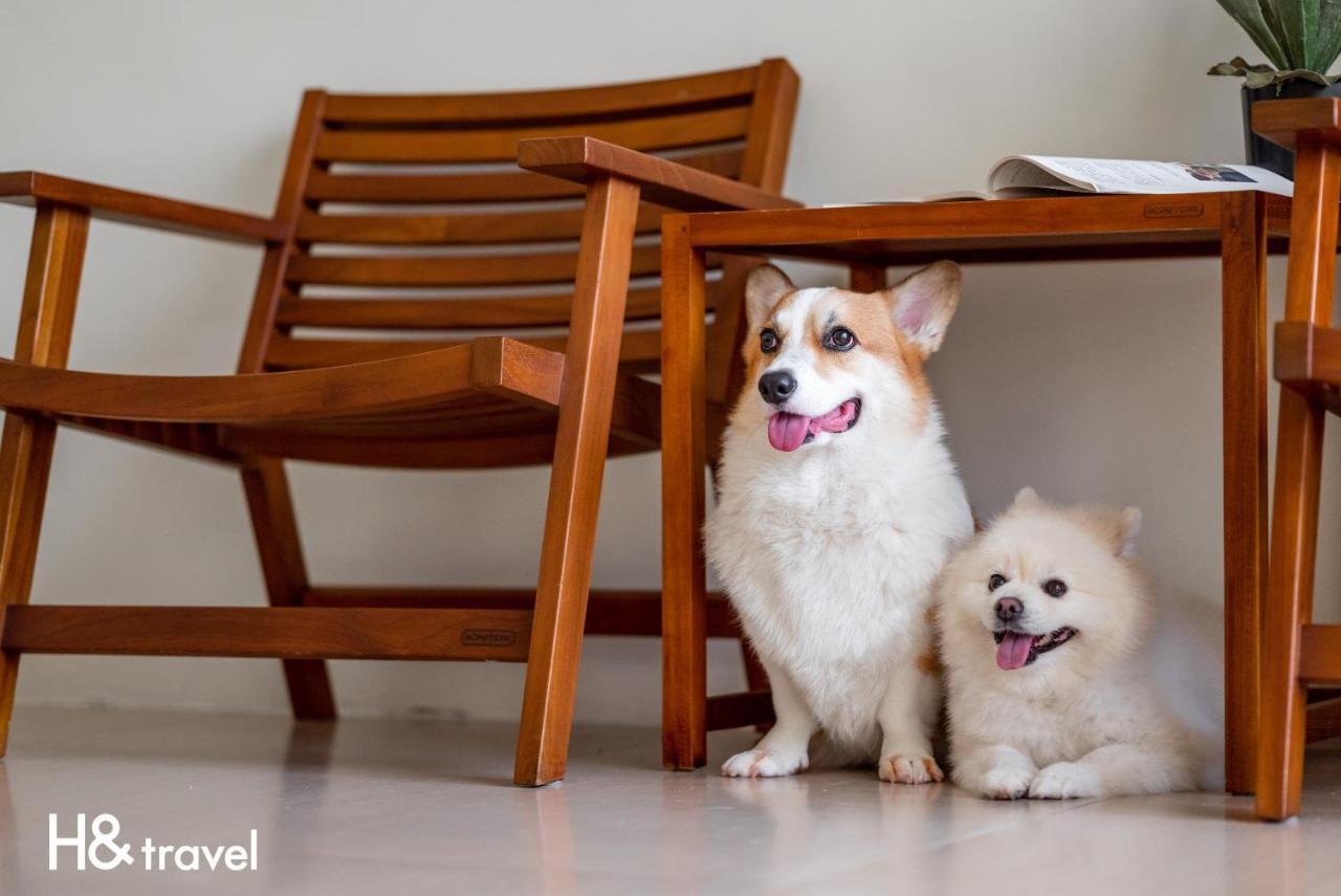 Taitung Rainbow Pet Friendly Maison Resort Екстер'єр фото