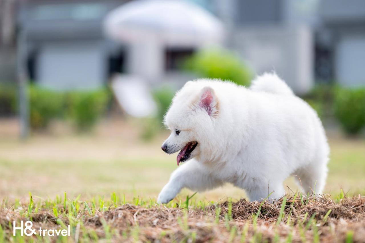 Taitung Rainbow Pet Friendly Maison Resort Екстер'єр фото