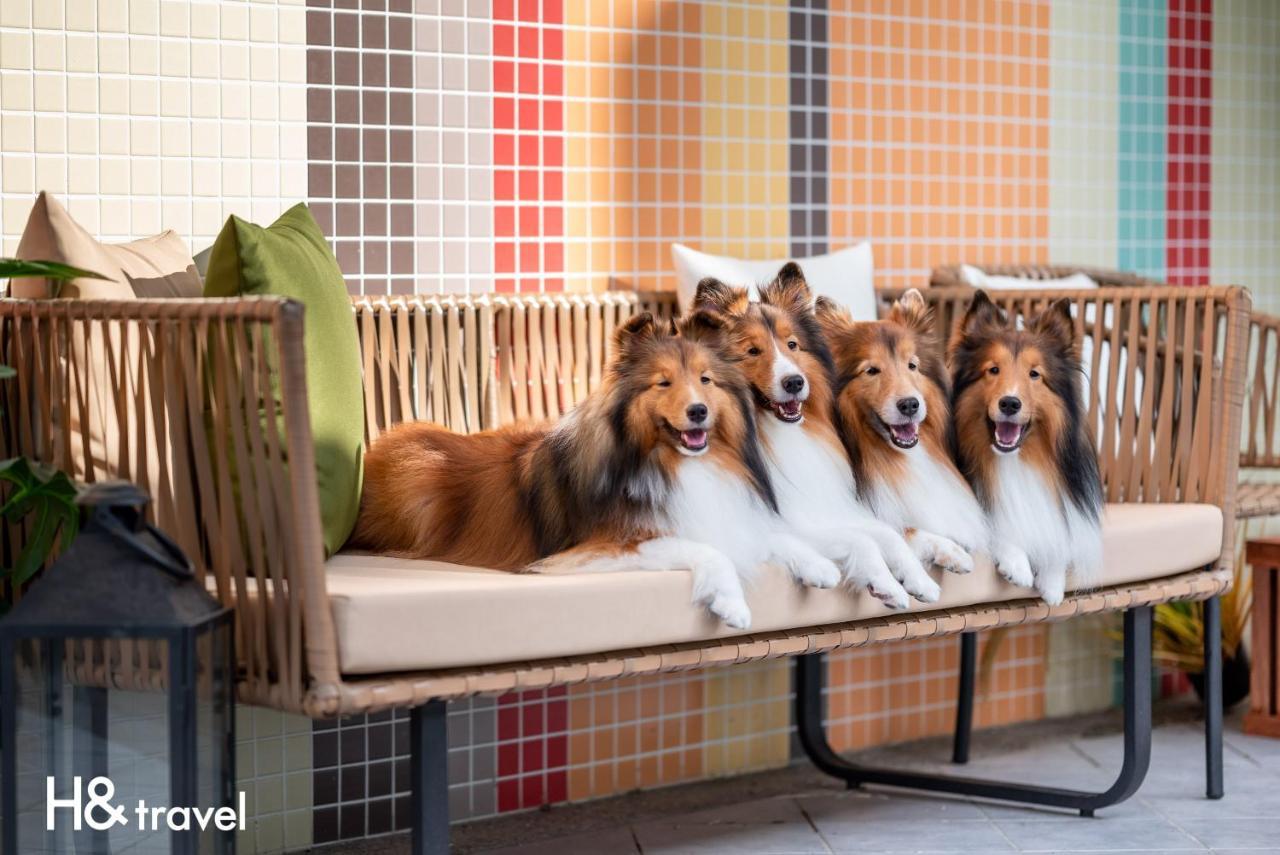 Taitung Rainbow Pet Friendly Maison Resort Екстер'єр фото