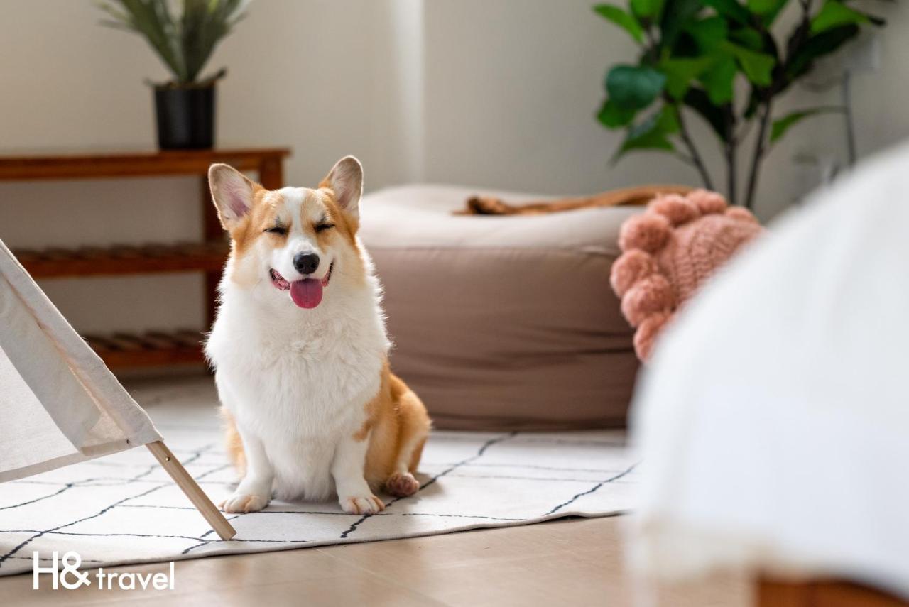 Taitung Rainbow Pet Friendly Maison Resort Екстер'єр фото