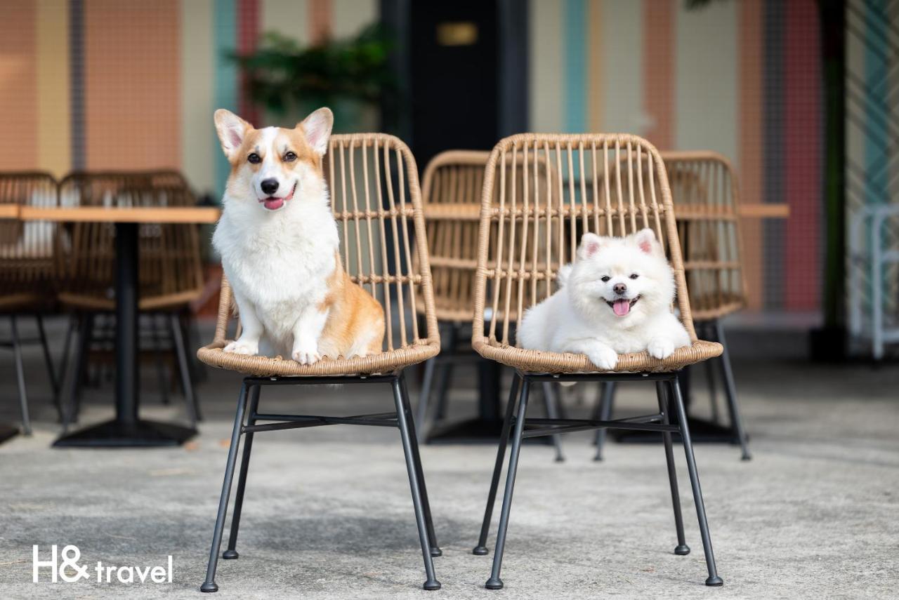 Taitung Rainbow Pet Friendly Maison Resort Екстер'єр фото