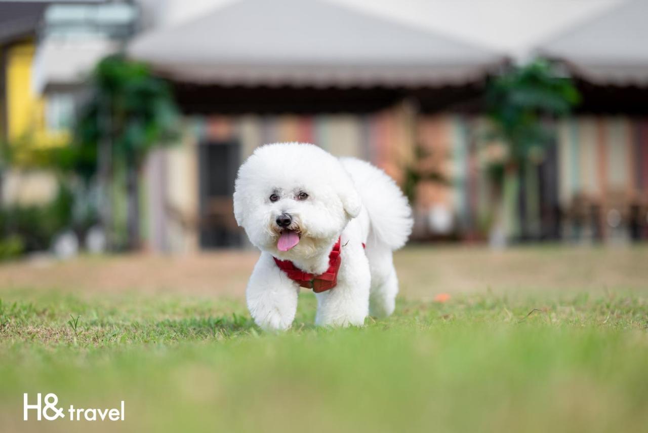 Taitung Rainbow Pet Friendly Maison Resort Екстер'єр фото