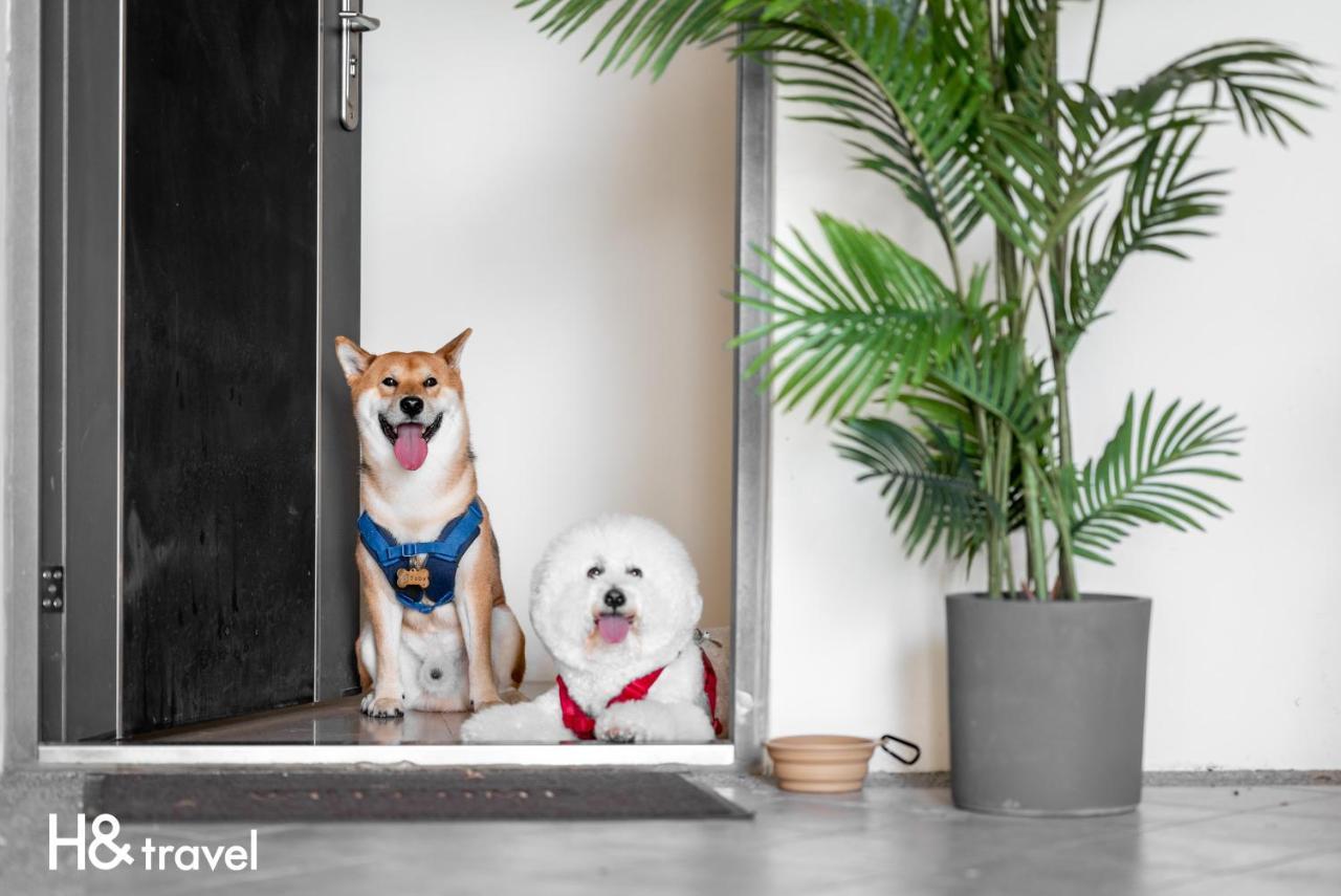 Taitung Rainbow Pet Friendly Maison Resort Екстер'єр фото