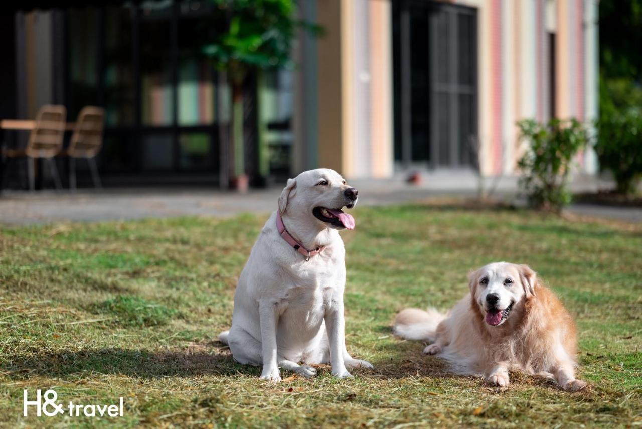 Taitung Rainbow Pet Friendly Maison Resort Екстер'єр фото