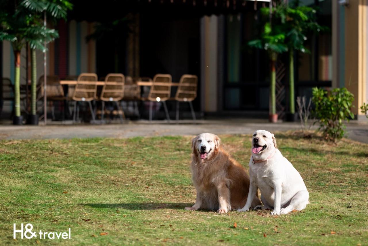 Taitung Rainbow Pet Friendly Maison Resort Екстер'єр фото
